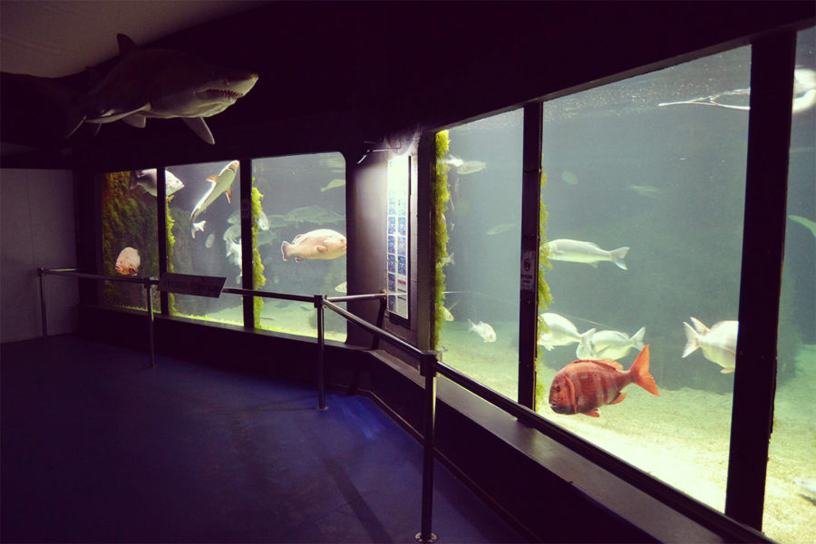 Museo de pesca de O Grove - Red Rema