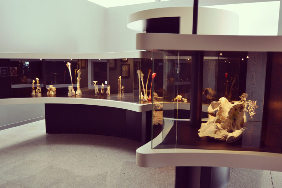 Museo Man de Camelle - Red Rema
